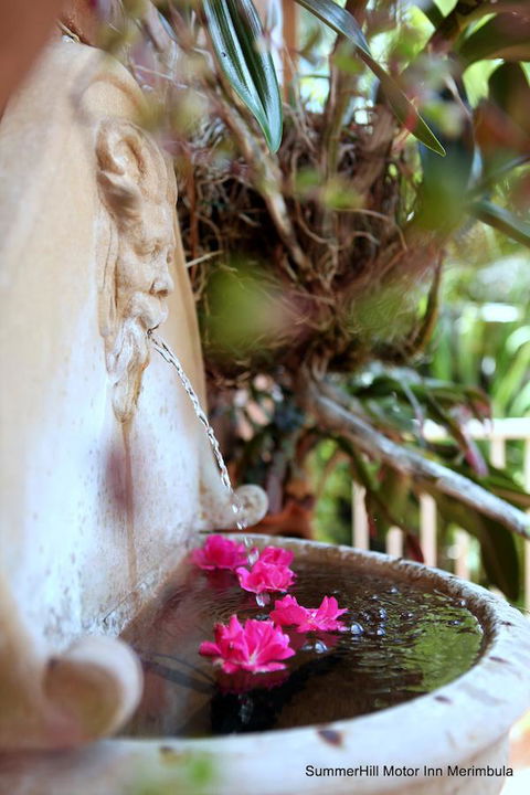 Summerhill Motor Inn - St Kilda Accommodation 24