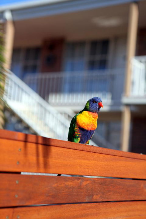 Summerhill Motor Inn - St Kilda Accommodation 30