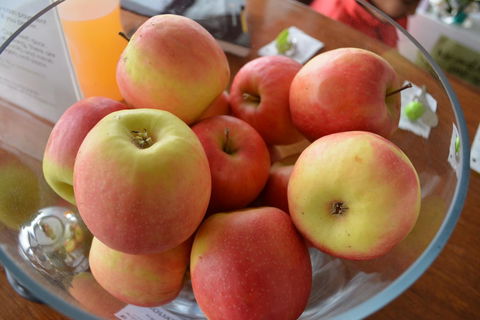 The Apple Inn - St Kilda Accommodation 12
