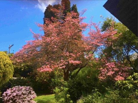 Dangal Gardens - St Kilda Accommodation 27