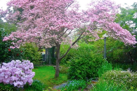 Dangal Gardens - St Kilda Accommodation 3