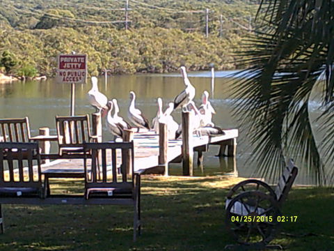 Pelican H2O One & Two Bedroom Apartments - St Kilda Accommodation 9