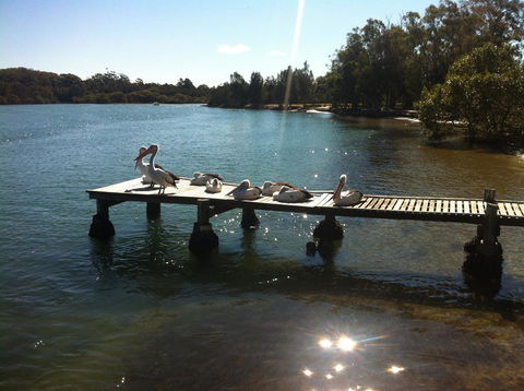 Pelican H2O One & Two Bedroom Apartments - St Kilda Accommodation 5