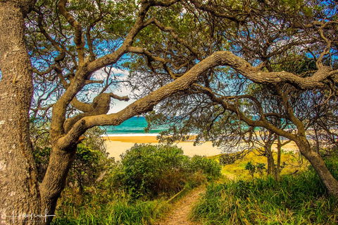 Valla's Beach House - St Kilda Accommodation 2