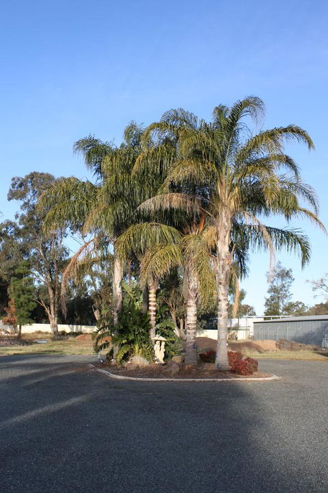 Temora Motel - St Kilda Accommodation 6