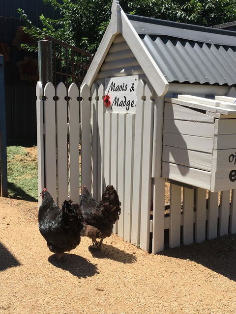Thelma's Temora - St Kilda Accommodation 12