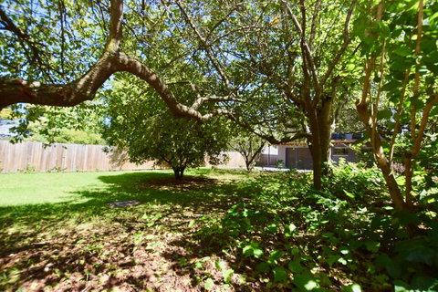 Wildlife Lodge Katoomba - St Kilda Accommodation 26
