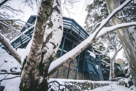 Pure Chalet Thredbo - St Kilda Accommodation 21