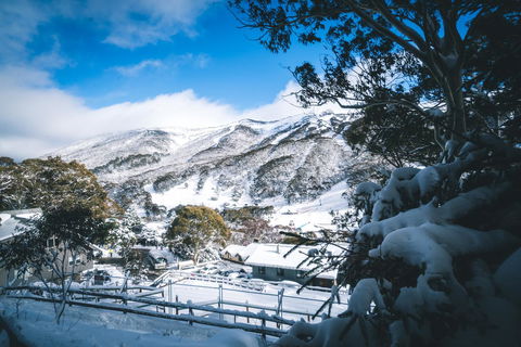 Pure Chalet Thredbo - St Kilda Accommodation 31