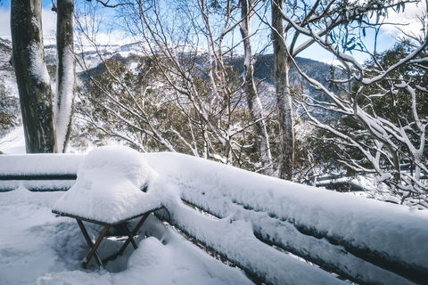Pure Chalet Thredbo - St Kilda Accommodation 19