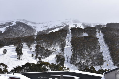 Pure Chalet Thredbo - St Kilda Accommodation 6