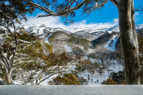 Pure Chalet Thredbo - St Kilda Accommodation 17