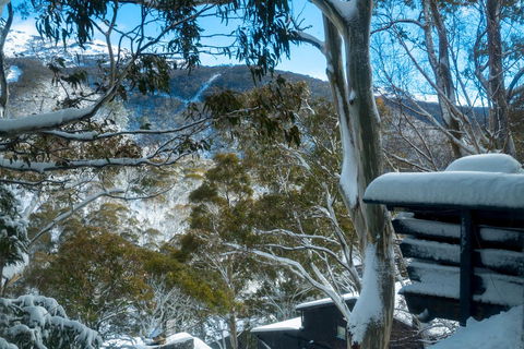 Pure Chalet Thredbo - St Kilda Accommodation 30