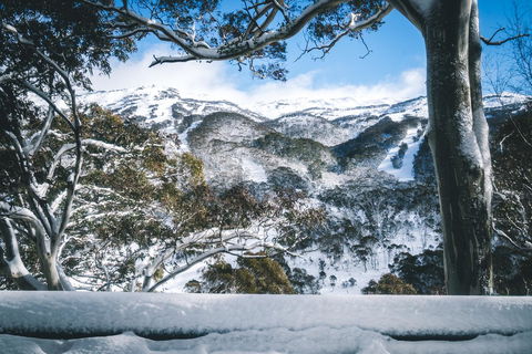 Pure Chalet Thredbo - St Kilda Accommodation 2
