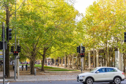 Highgate Executive Apartment City Walk Canberra - St Kilda Accommodation 37