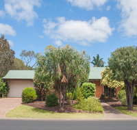 Bottlebrush - St Kilda Accommodation