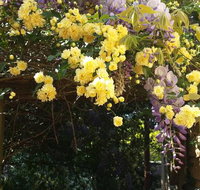 Bowral Road Bed and Breakfast - St Kilda Accommodation
