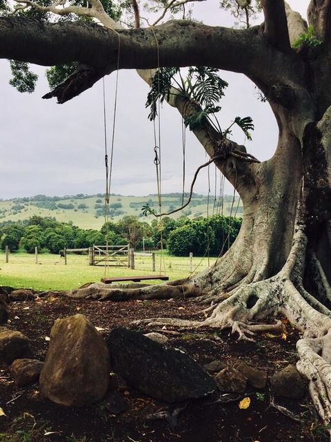 BYRON BAY New! SUNSET COTTAGE - St Kilda Accommodation 3