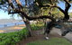 Cairns Palm Cove Studio - thumb 3