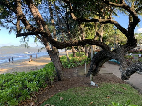 Cairns Palm Cove Studio - St Kilda Accommodation 3