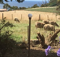 Cape View B and B - St Kilda Accommodation