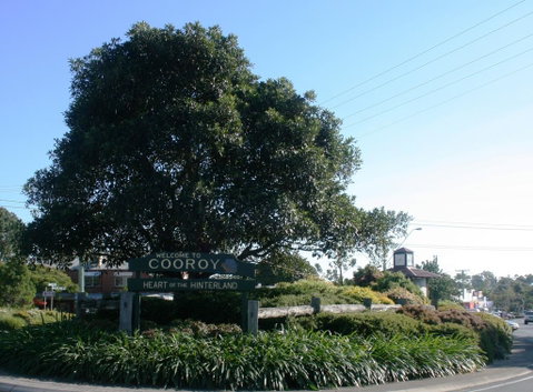 Cooroy Luxury Motel Apartments - St Kilda Accommodation 2
