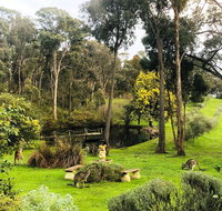 Countryside Retreat Intimate Studio Hepburn - Daylesford - St Kilda Accommodation