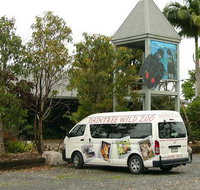 Daintree Wild Bed  Breakfast - St Kilda Accommodation
