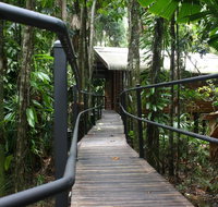 Daintree Wilderness Lodge - St Kilda Accommodation