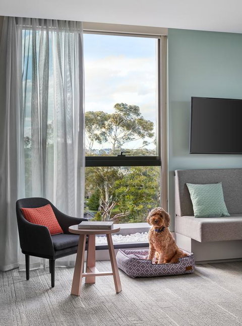 Element Melbourne Richmond - St Kilda Accommodation 3