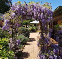 Gumtree House Montville - St Kilda Accommodation