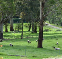 JAN'S ART STUDIO AT ASHBY RISE - St Kilda Accommodation