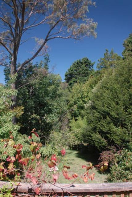 Leura Lady - St Kilda Accommodation 3