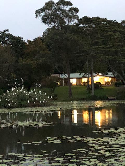 Maleny Lake Cottages-Guesthouse - St Kilda Accommodation 3