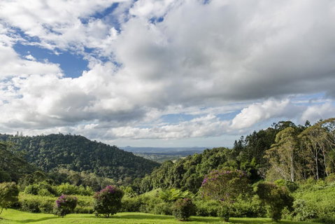 Maleny Manor - St Kilda Accommodation 1