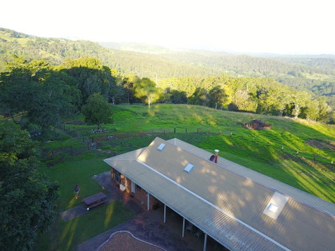 Maleny Orchard - St Kilda Accommodation 3
