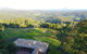 Maleny Orchard - thumb 0