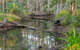 Mango Lodge At River Heads - thumb 3