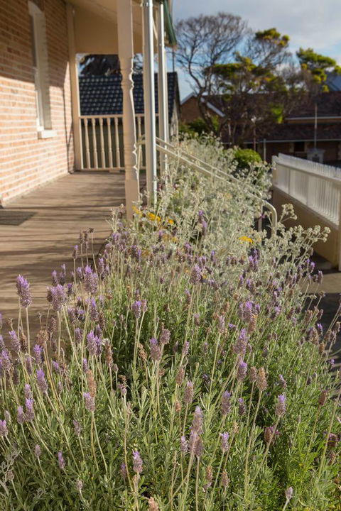 Spencer Cottage - St Kilda Accommodation 11