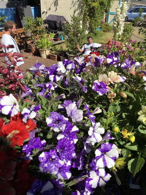 1849 Backpackers Albany - St Kilda Accommodation 15