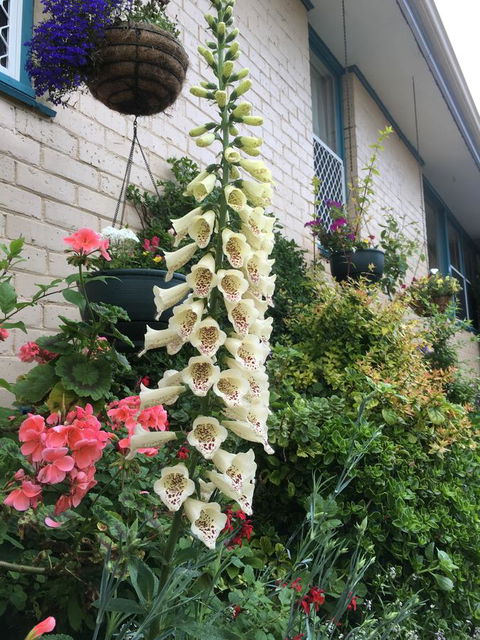 1849 Backpackers Albany - St Kilda Accommodation 32