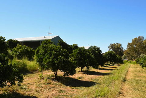 Swan Valley Sisters - St Kilda Accommodation 29