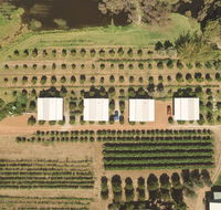 Swan Valley Sisters - St Kilda Accommodation