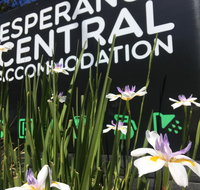 Esperance Central Accommodation - St Kilda Accommodation