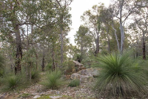 A Hidden Bush Delight - St Kilda Accommodation 23