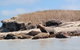 Island View Villas - thumb 14