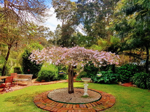 Adamsons Riverside Accommodation - St Kilda Accommodation 25