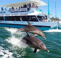 Belvedere Caravan Park - St Kilda Accommodation