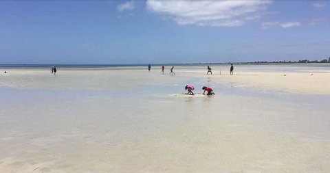 Beach House Dunsborough - St Kilda Accommodation 22