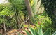 Armadale Cottage Bed & Breakfast - thumb 1